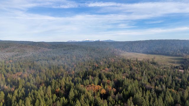 7795 Eastmoore Road, Shingletown, CA 96088