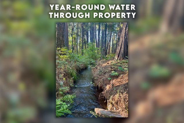 7795 Eastmoore Road, Shingletown, CA 96088