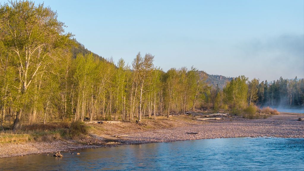 3690 Big Flat Road, Missoula, MT 59804 photo 10