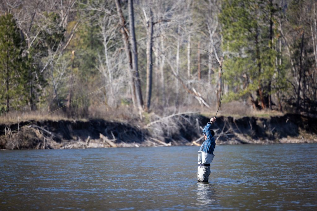 3690 Big Flat Road, Missoula, MT 59804 photo 13
