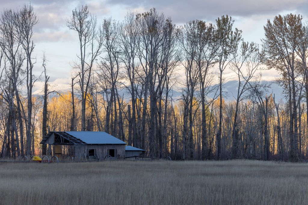 3690 Big Flat Road, Missoula, MT 59804 photo 15