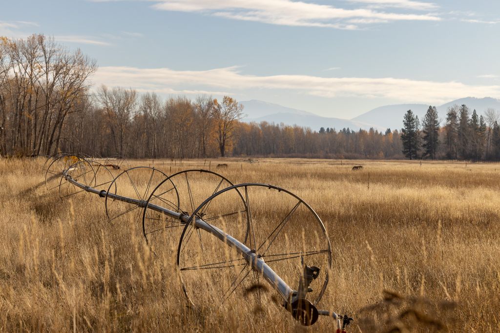 3690 Big Flat Road, Missoula, MT 59804 photo 5