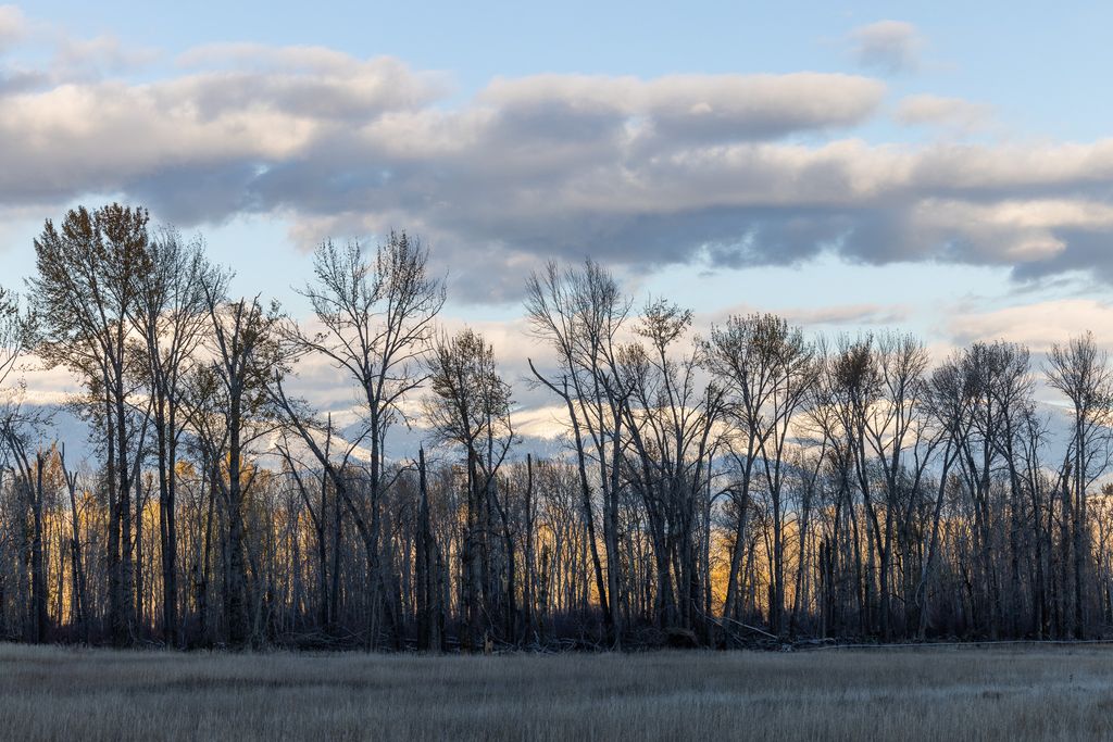 3690 Big Flat Road, Missoula, MT 59804 photo 57