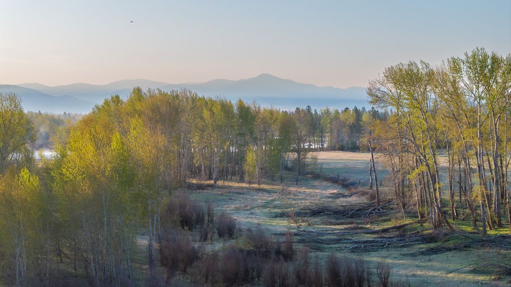 3690 Big Flat Road, Missoula, MT 59804 photo 6
