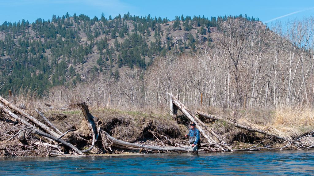 3690 Big Flat Road, Missoula, MT 59804 photo 66