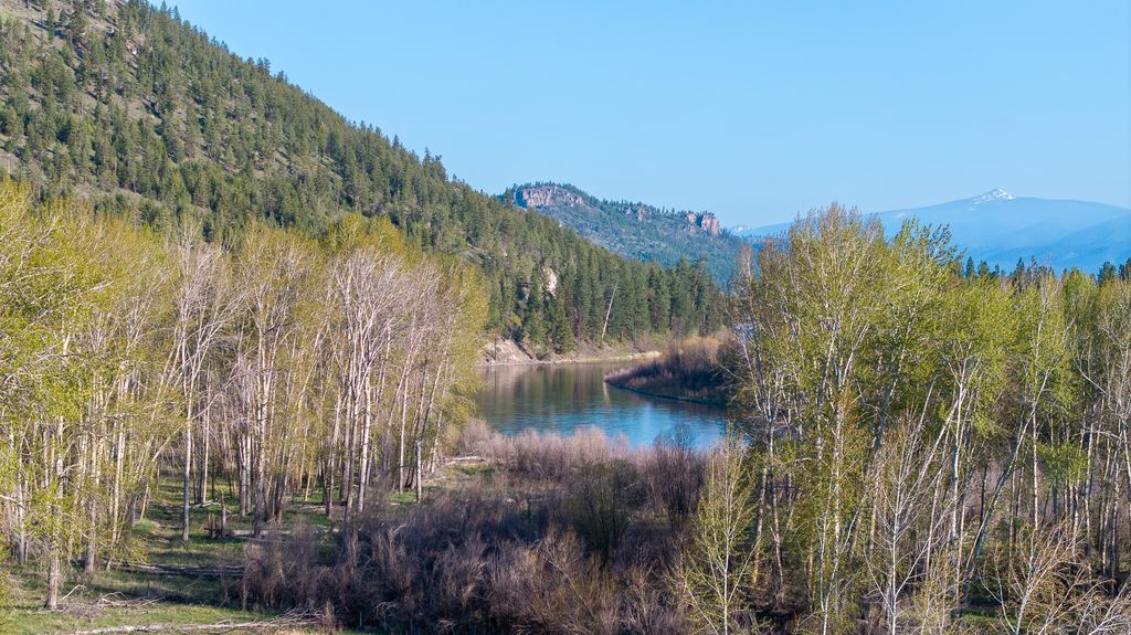 3690 Big Flat Road, Missoula, MT 59804 photo 78