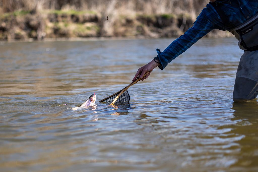 3690 Big Flat Road, Missoula, MT 59804 photo 83