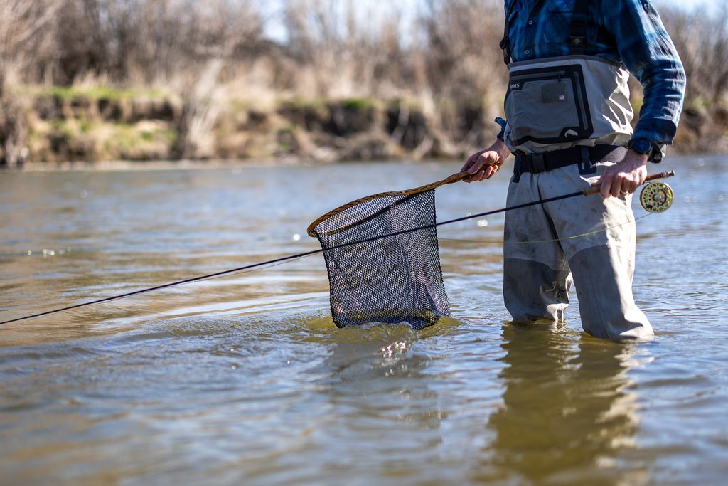 3690 Big Flat Road, Missoula, MT 59804 photo 84
