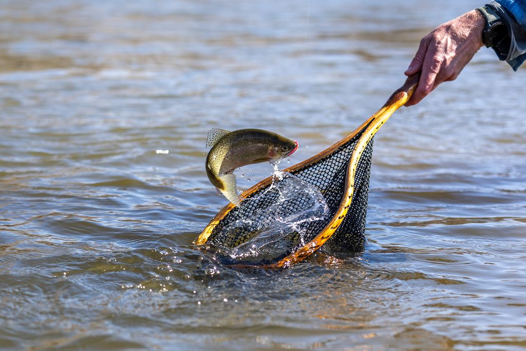 3690 Big Flat Road, Missoula, MT 59804 photo 86