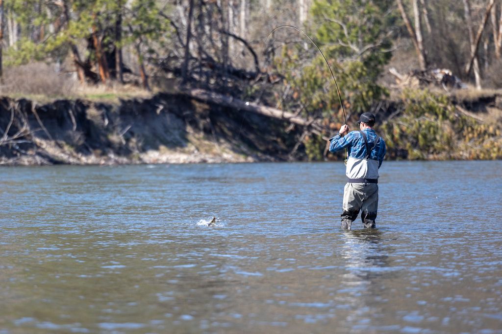 3690 Big Flat Road, Missoula, MT 59804 photo 89