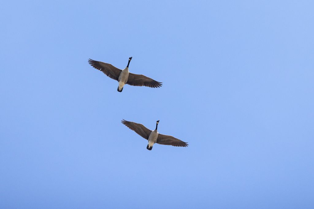 3690 Big Flat Road, Missoula, MT 59804 photo 92