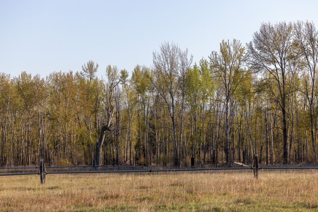 3690 Big Flat Road, Missoula, MT 59804 photo 98