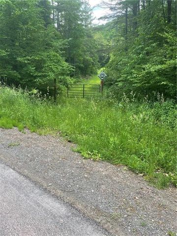 Junction Road, Bainbridge, NY 13733