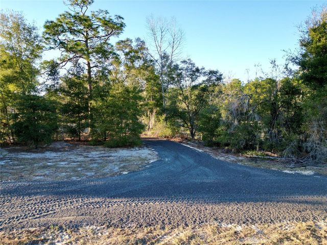 TBD SW 110TH AVENUE, Dunnellon, FL 34432