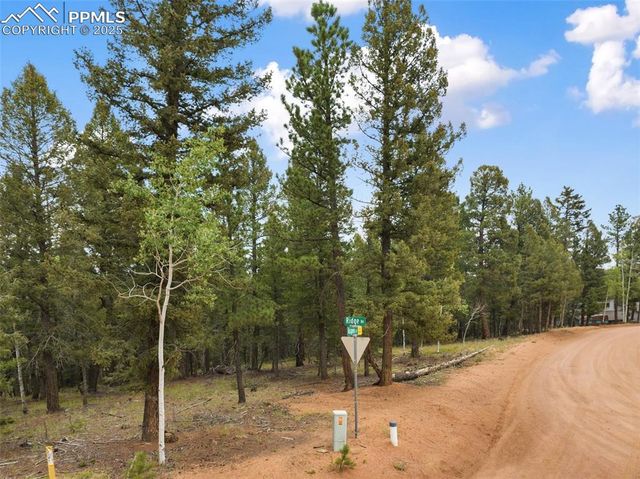 810 Ridge Road, Divide, CO 80814