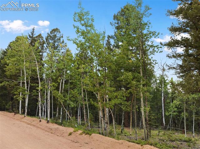 810 Ridge Road, Divide, CO 80814