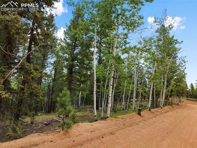 810 Ridge Road, Divide, CO 80814