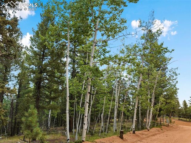 810 Ridge Road, Divide, CO 80814