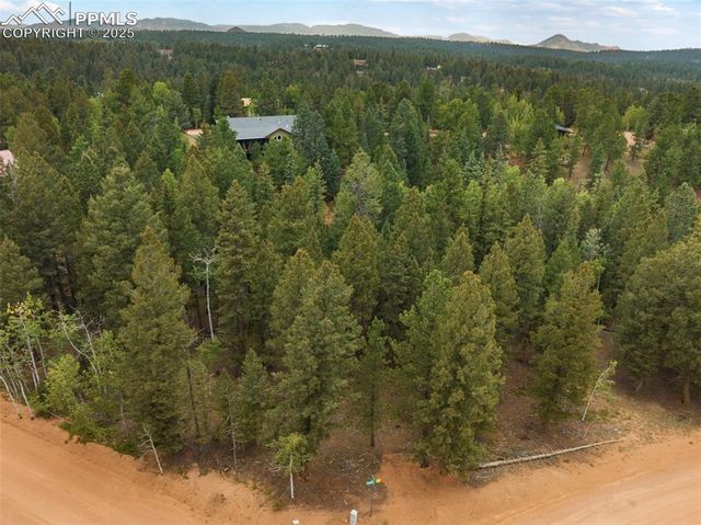 810 Ridge Road, Divide, CO 80814