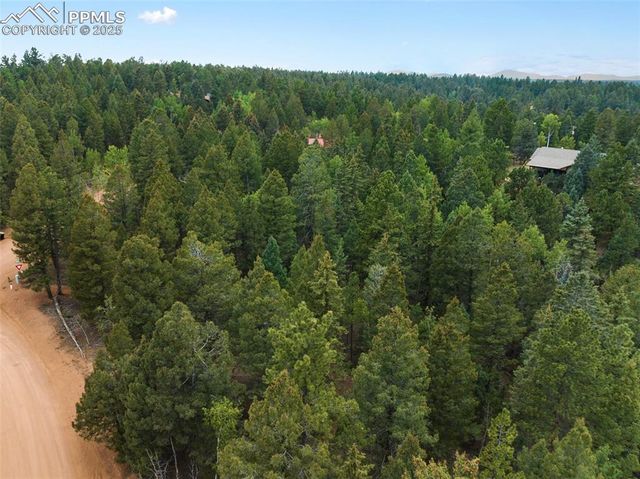 810 Ridge Road, Divide, CO 80814