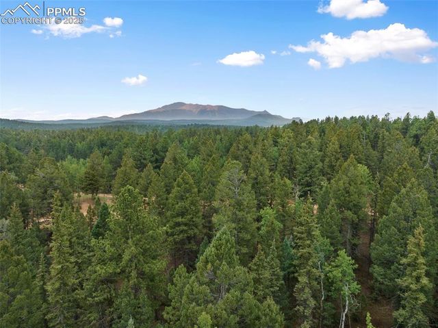 810 Ridge Road, Divide, CO 80814