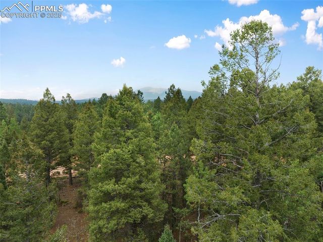 810 Ridge Road, Divide, CO 80814