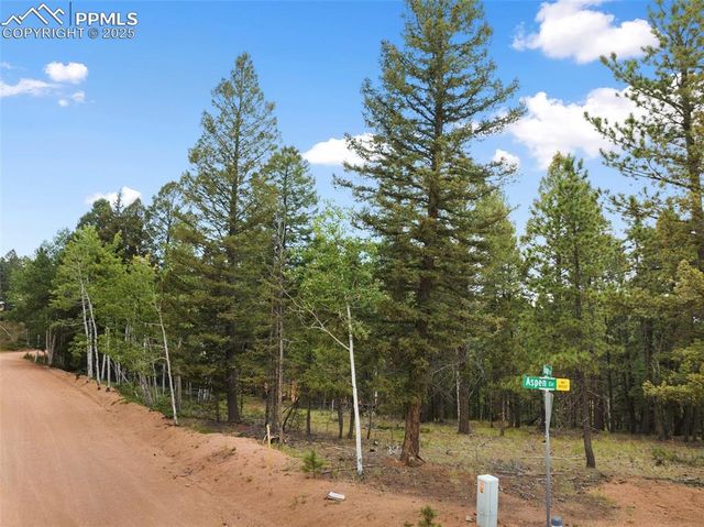 810 Ridge Road, Divide, CO 80814