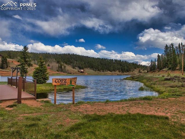 810 Ridge Road, Divide, CO 80814