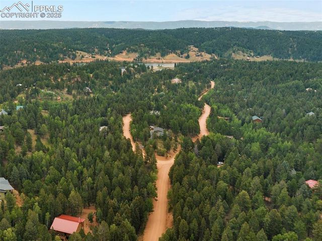 810 Ridge Road, Divide, CO 80814