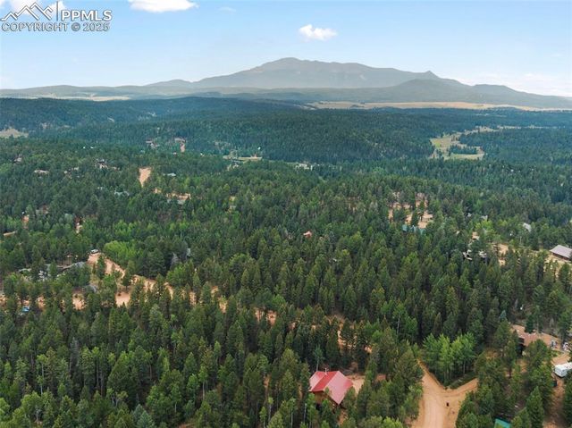 810 Ridge Road, Divide, CO 80814