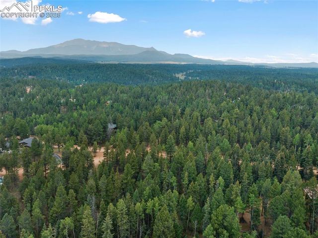 810 Ridge Road, Divide, CO 80814