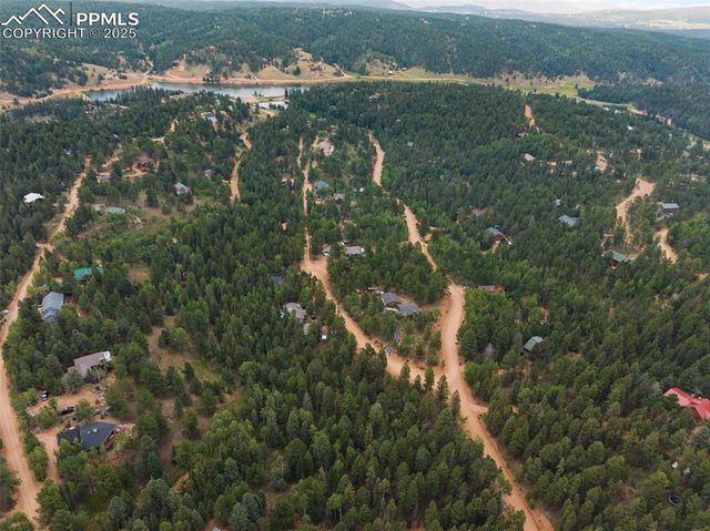 810 Ridge Road, Divide, CO 80814