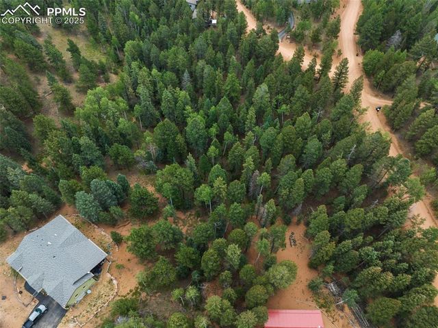 810 Ridge Road, Divide, CO 80814