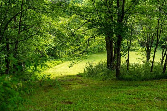 4475 Campton Road, Stanton, KY 40380