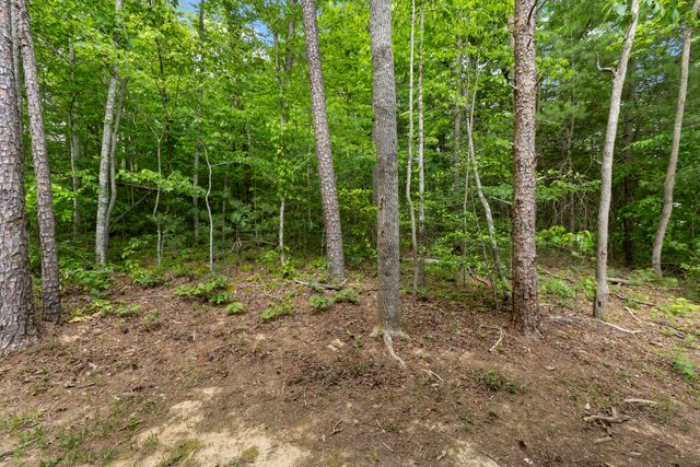 47 Wolfe Lake Spur Road, Campton, KY 41301