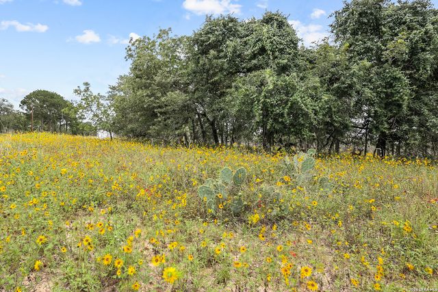 336 Lost Trail, La Vernia, TX 78121