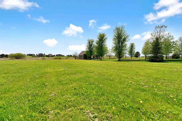 10127 W Tall Grass Lane, Monee, IL 60449