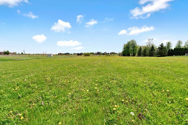 10127 W Tall Grass Lane, Monee, IL 60449