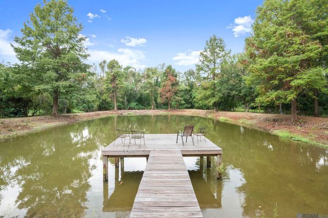 22977 Treakle Ln, Zachary, LA 70791