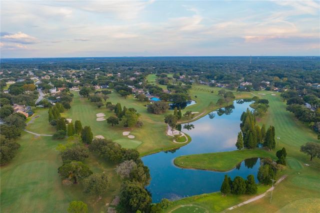 2528 BRIMHOLLOW DRIVE, Valrico, FL 33596