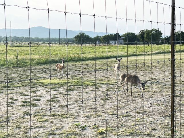 867 River Tree, Leakey, TX 78873