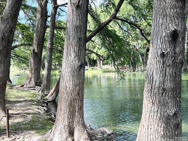 867 River Tree, Leakey, TX 78873