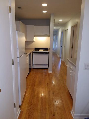 1507 W George Street, Chicago, IL 60657