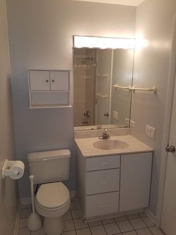 1507 W George Street, Chicago, IL 60657
