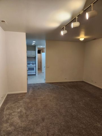 1507 W George Street, Chicago, IL 60657