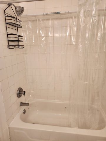 1507 W George Street, Chicago, IL 60657