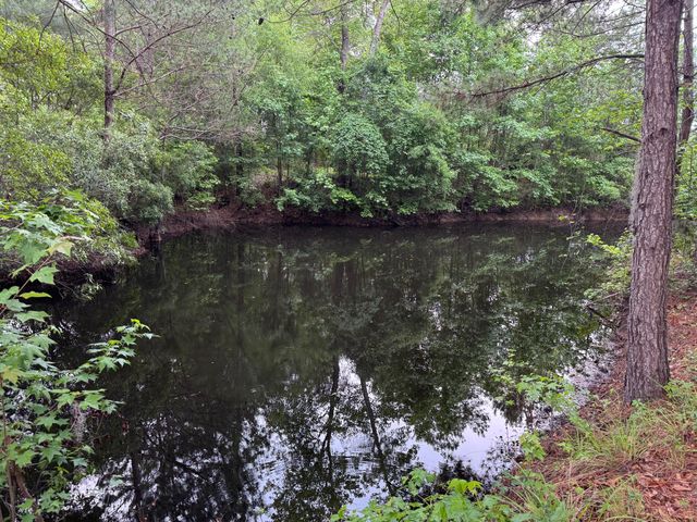 351 Duncan Chapel Road, Harleyville, SC 29448