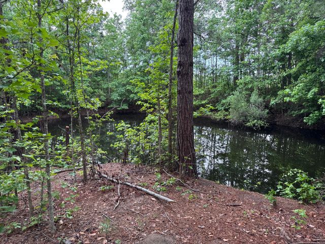 351 Duncan Chapel Road, Harleyville, SC 29448