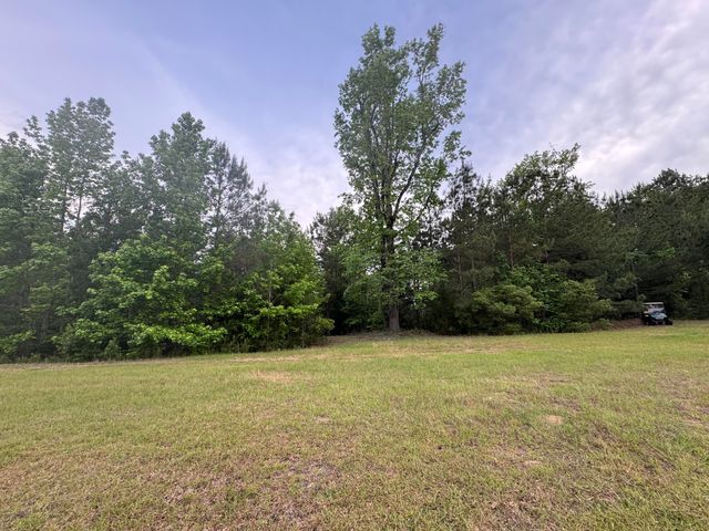 351 Duncan Chapel Road, Harleyville, SC 29448