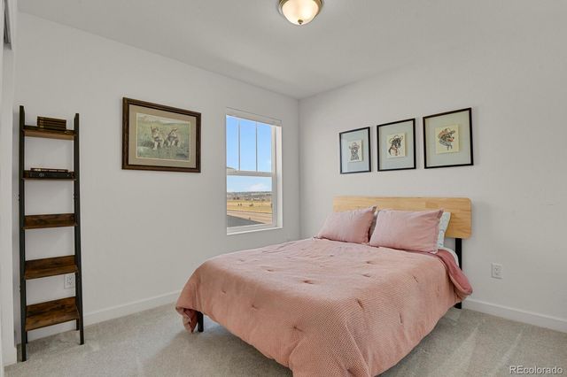 14118 Red Cosmos Street, Parker, CO 80134
